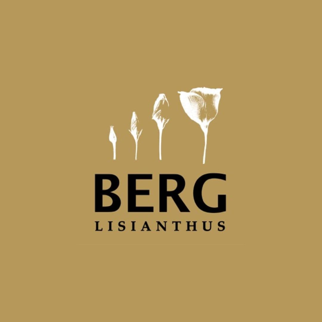 Berg Lisianthus