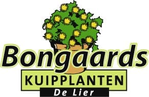Bongaards Kuipplanten