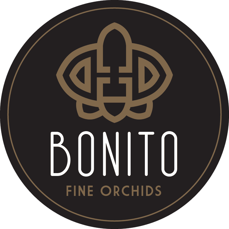 Bonito Fine Orchids