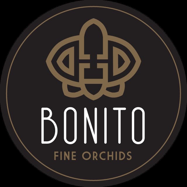 Bonito Shop