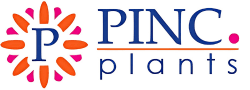 Pinc. Plants
