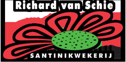 Santini kwekerij Richard van Schie