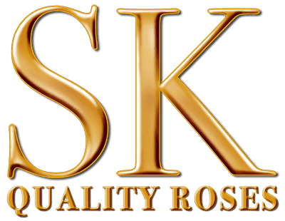 SK Rozenstalletje