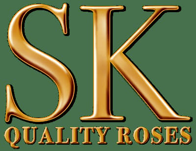 SK Rozenstalletje