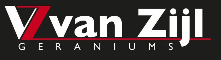 Van Zijl Geraniums